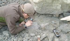 کشف اولین فسیل‌های میکروسکوپی