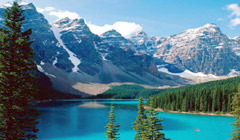 فروش هوای جنگل های کانادا در چین