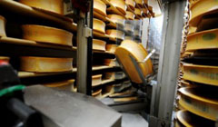 استفاده از پنیر به‌عنوان سوخت در نیروگاه‌!