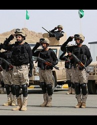 استقبال آمریکا از اعلام آمادگی عربستان