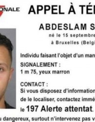 بازداشت عامل اصلی حملات پاریس در بلژیک