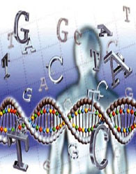 کشف ژن مسؤول سکته وزوال عقل