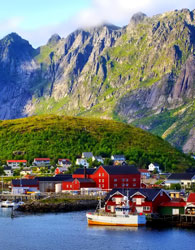 نروژ امن‌ترین کشور برای درختان