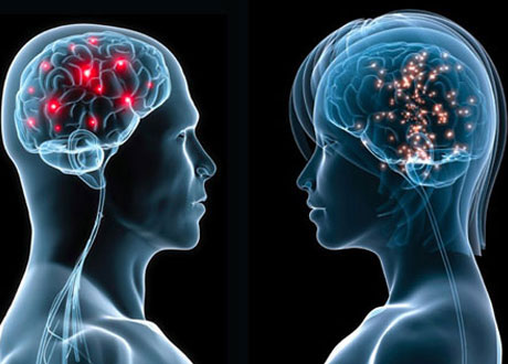 تفاوت های اساسی مغز زنان و مردان!
