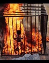 زنده سوزاندن دختر 2 ساله به دست داعش