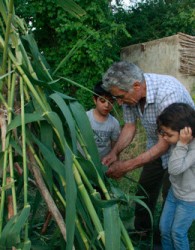 بازگشایی اولین مدرسه طبیعت تهران