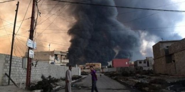 هشدار درباره فاجعه زیستی درموصل