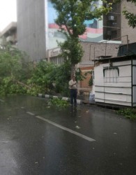 جزئیاتی از خسارات طوفان جمعه در مازندران