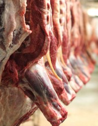 افزایش مجدد قیمت گوشت قرمز در بازار