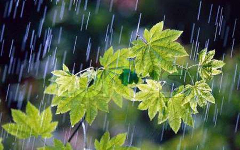 پیش بینی بارش باران برای 20 استان