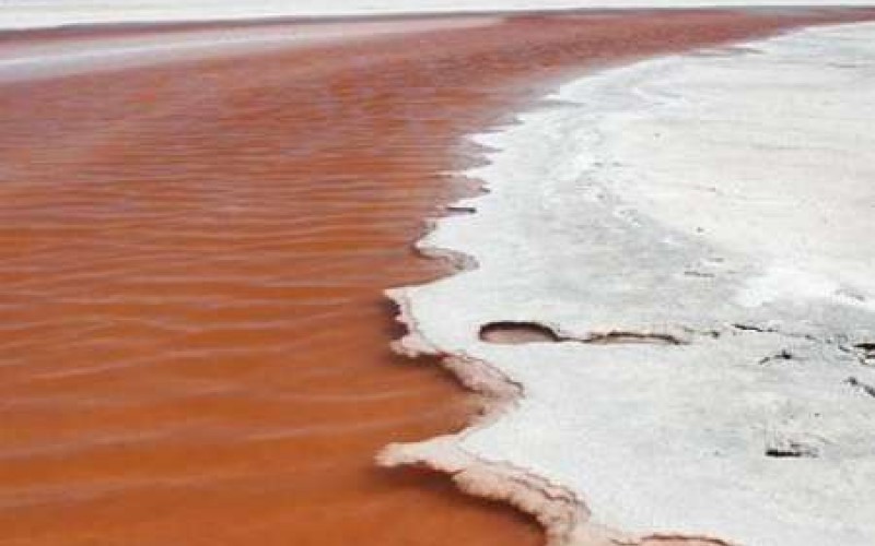 دریاچه ارومیه چگونه احیا شد؟