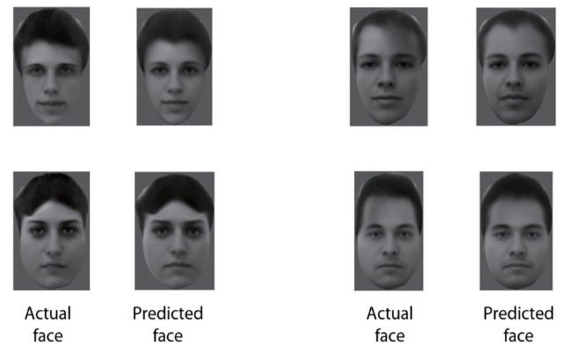 مغز چگونه چهره‌ها را تشخیص می‌دهد