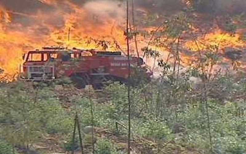 آتش‌سوزی جنگل‌های پرتغال با 24کشته