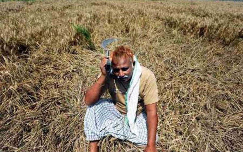 خودکشی 34 کشاورز در جنوب هند