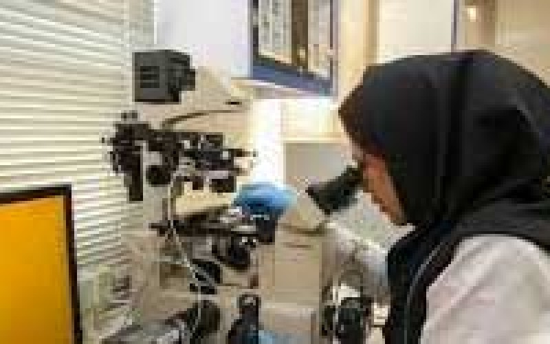 درمان ناباروری در زنان مبتلا به اندومتریوزیس