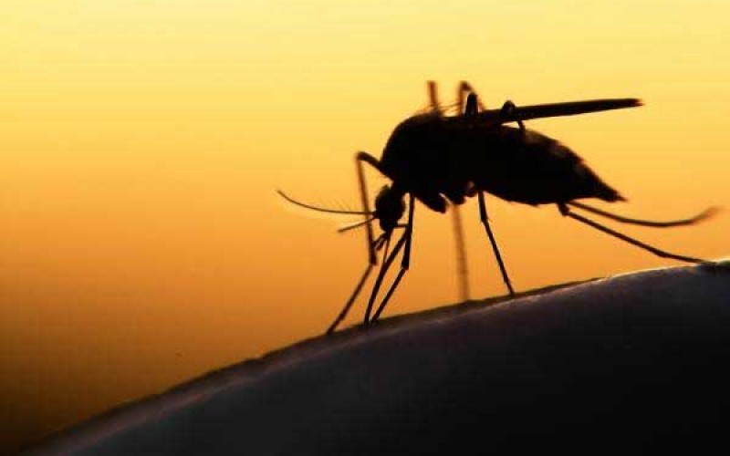 گسترش مالاریای مقاوم به دارو در آسیا