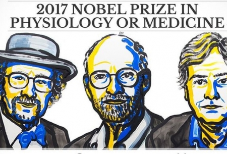 نوبل‌پزشکی به3دانشمندآمریکایی داده شد
