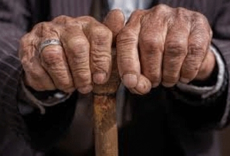 ۳۳ سال تا رکوردزنی ایران در سالمندی