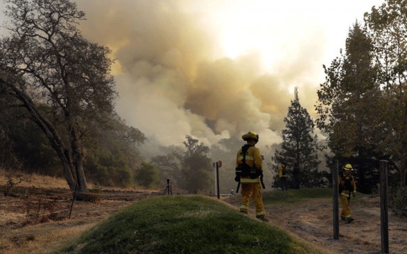 آتش‌سوزی جنگل‌های کالیفرنیا؛ 40 كشته