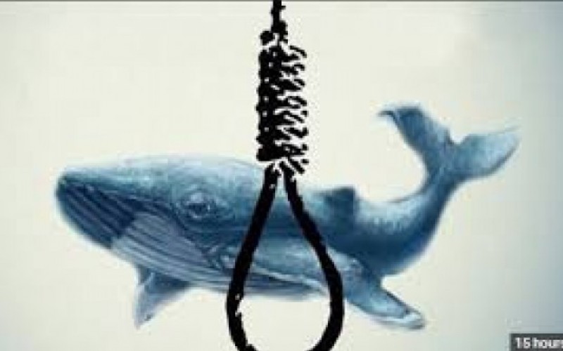 واقعا چالش نهنگ آبی در ایران وجود دارد؟