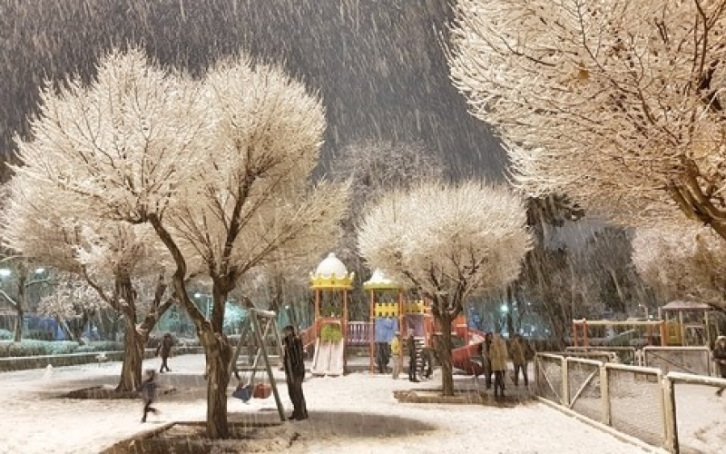 بارش برف تهران را سپیدپوش کرد