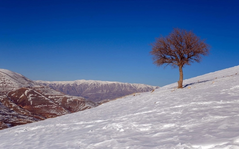 طبیعت زمستانی  در قزوین/تصاوير