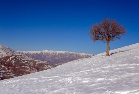 طبیعت زمستانی  در قزوین/تصاوير