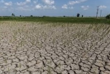 ضربه‌ای که کمبود آب به اقتصاد وارد می‌کند