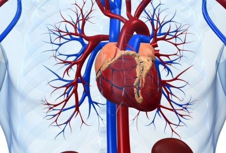 پیشگیری از لخته و سکته مغزی