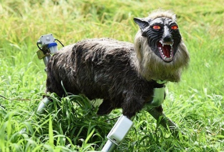 گرگ رباتیک از مزرعه ژاپنی‌ها محافظت می‌کند