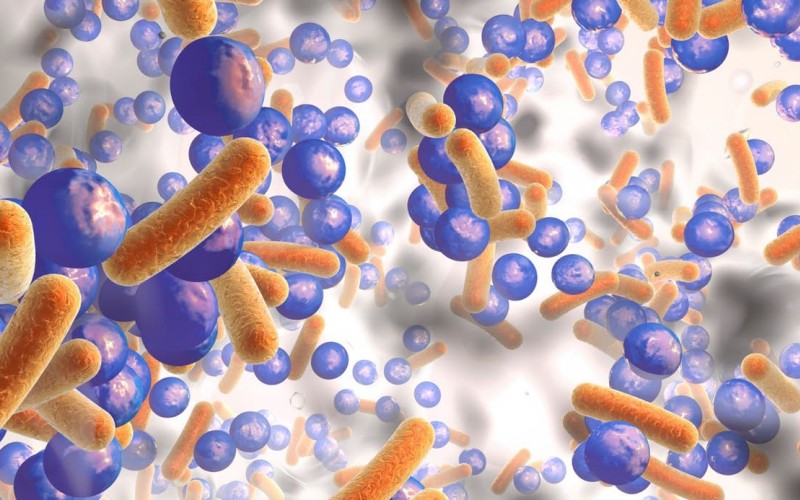 درمان عفونت های مقاوم به آنتی بیوتیک