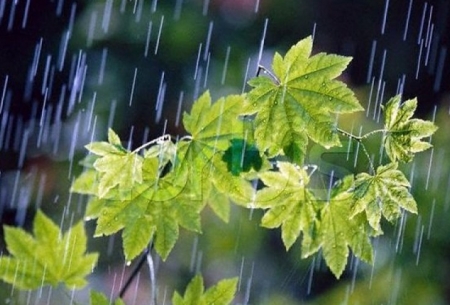 ادامه بارش باران در ۱۸ استان کشور
