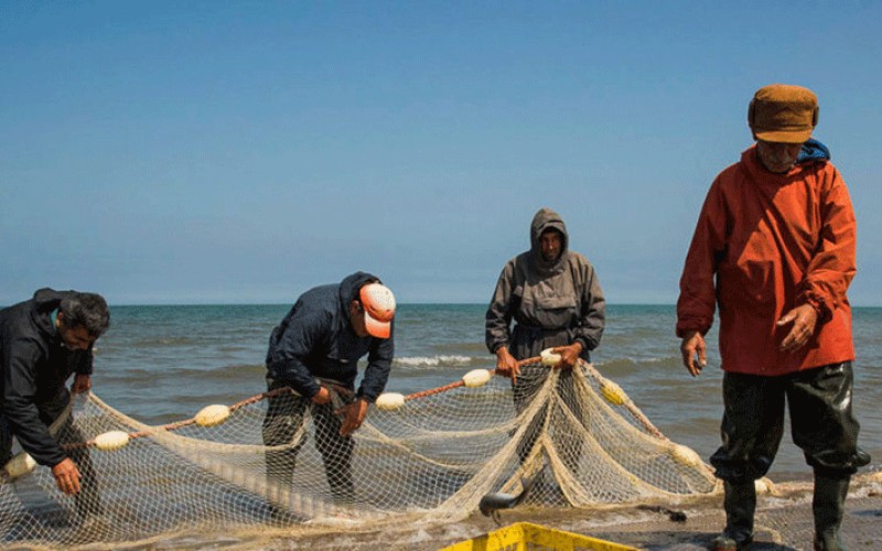 آخرین روزهای صید ماهی در مازندران/تصاویر