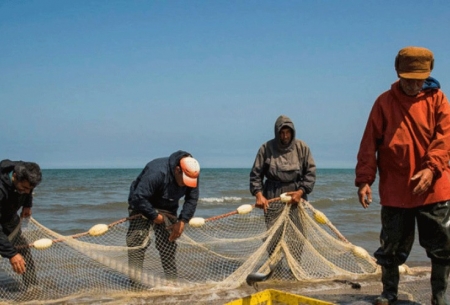 آخرین روزهای صید ماهی در مازندران/تصاویر