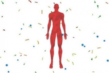 نیمی از بدن انسان را میکروب‌ها تشکیل داده‌اند