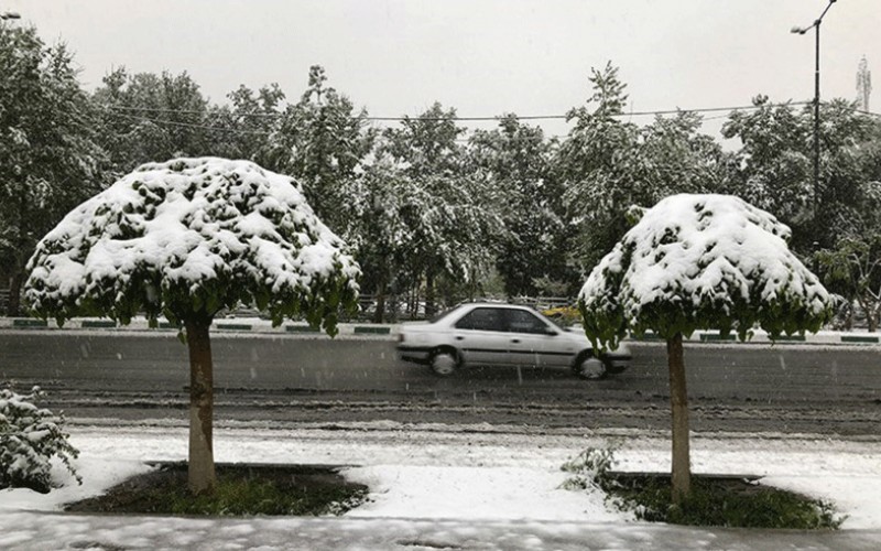 بارش برف بهاری در کرج /تصاویر