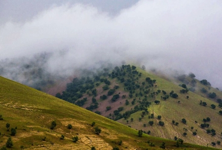 «شیرز»، دره شگفت‌انگیز در لرستان  <img src="https://cdn.baharnews.ir/images/picture_icon.gif" width="16" height="13" border="0" align="top">