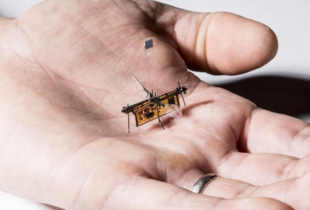 نخستین حشره رباتیک بی سیم از زمین برخاست