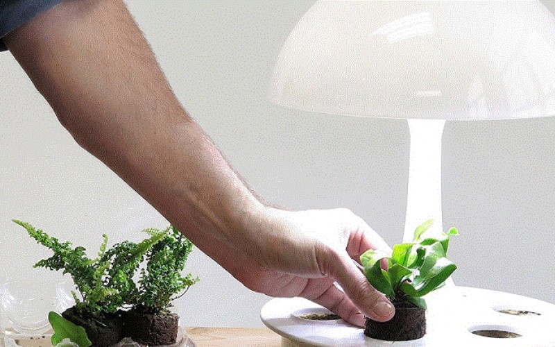 لامپ هوشمند گیاه پرور