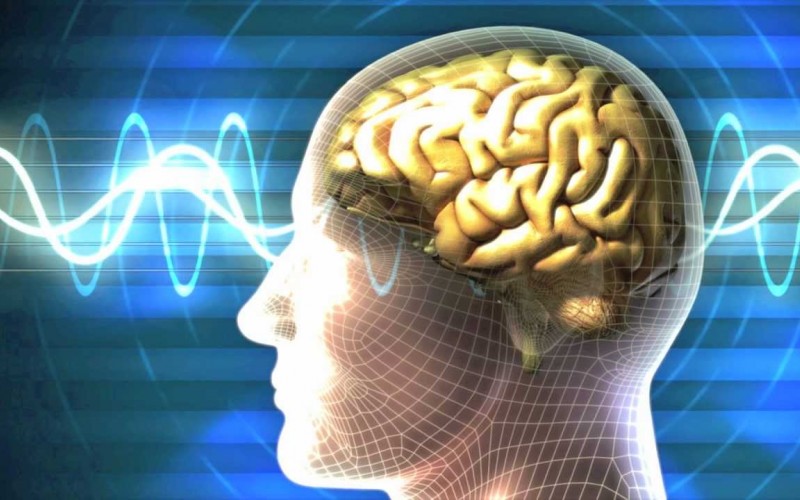 مغز باهوش ها اتصالات نورونی کمتری دارد