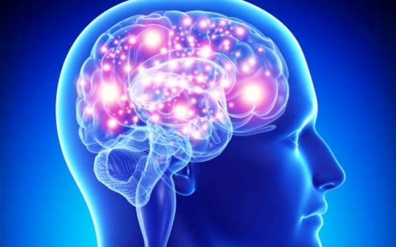 مغز فرد باهوش چه فرقی با کم‌هوش دارد؟
