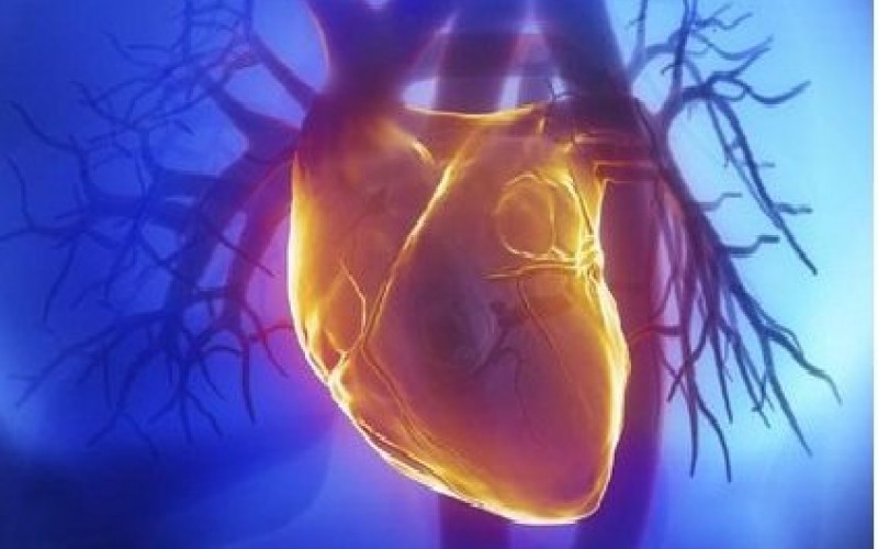 اثرات آنتی‌اکسیدان طبیعی بر سلامت قلب