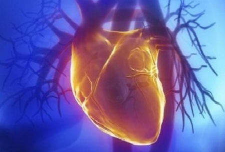 اثرات آنتی‌اکسیدان طبیعی بر سلامت قلب