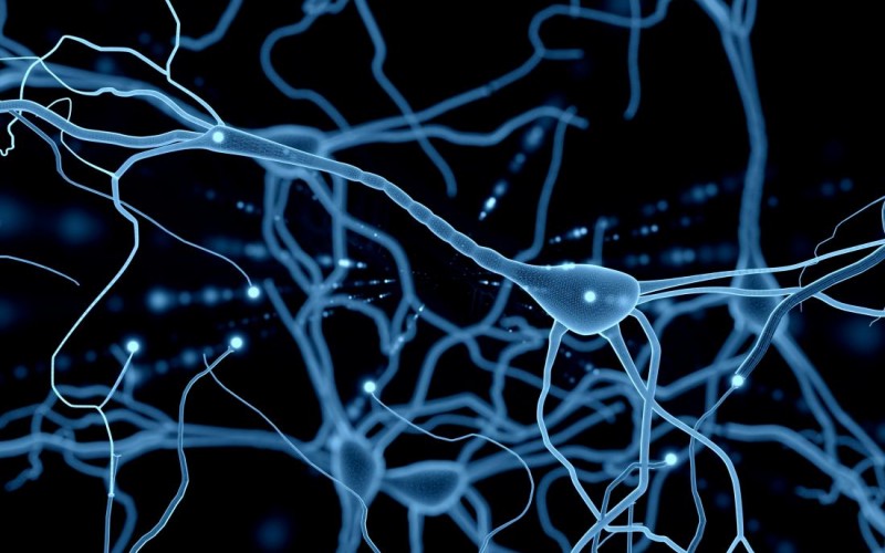 شناسایی علت مرگ نورون های حرکتی