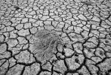 کرمان در وضعیت بحرانی کم آبی