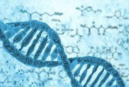 ذخیره اطلاعات شخصی بر اساس DNA