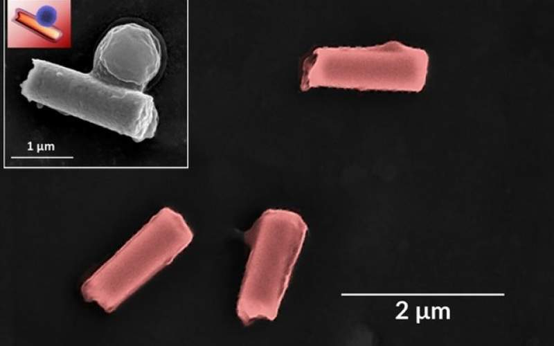نانوربات جداکننده  مواد سمی و باکتری از خون