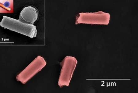 نانوربات جداکننده  مواد سمی و باکتری از خون