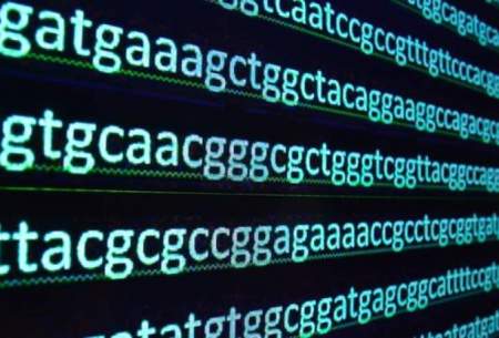 مخمری که قانون جهانی DNA را نقض می‌کند