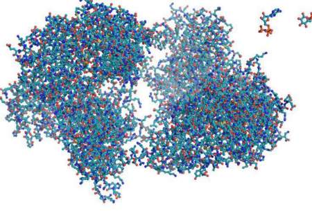 آموزش آنزیم ها برای ساخت مولکول های جدید